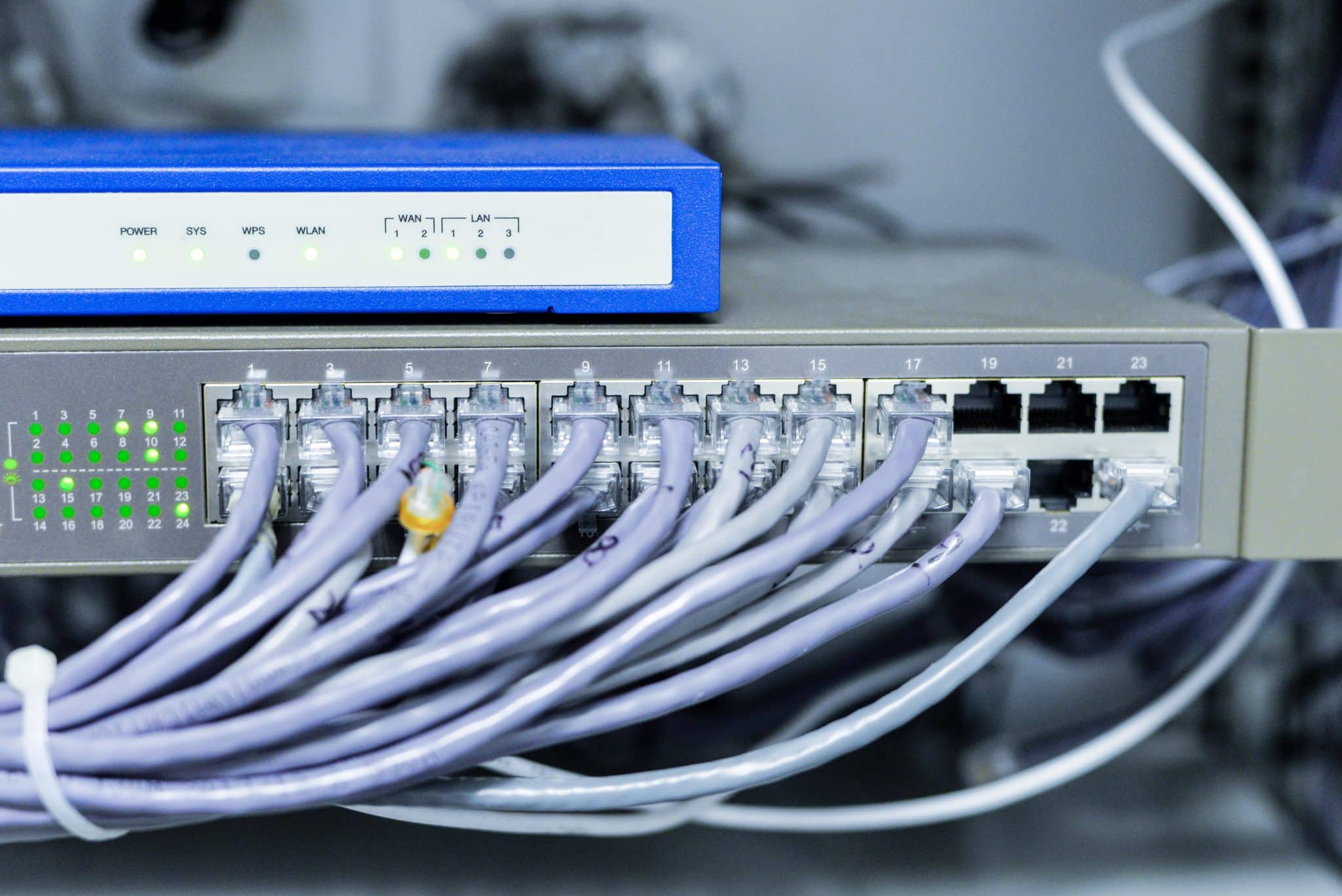 Ethernet patch cables connected to numbered switch ports in a business network